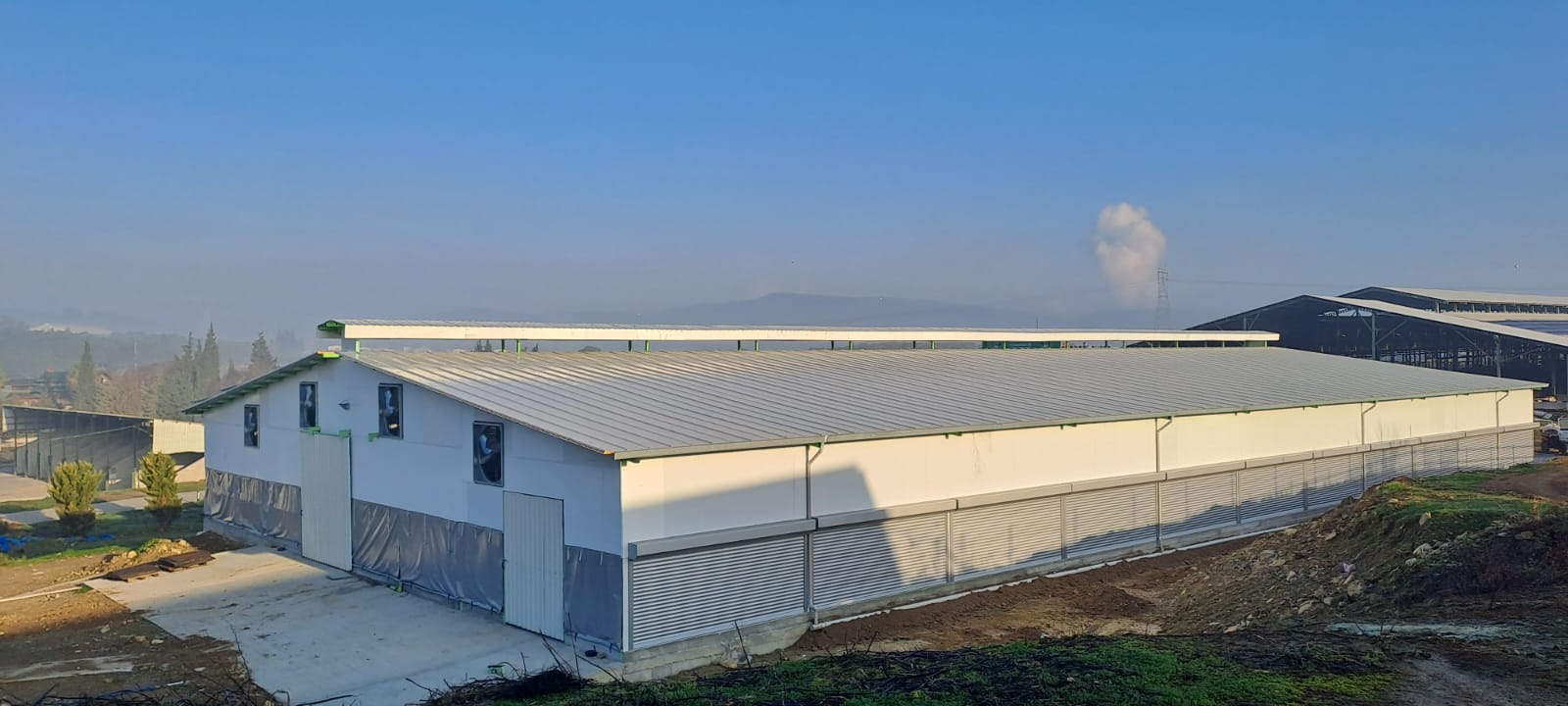 Taze Süt Farm
